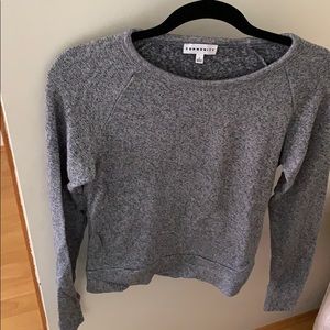 Aritzia grey long sleeve